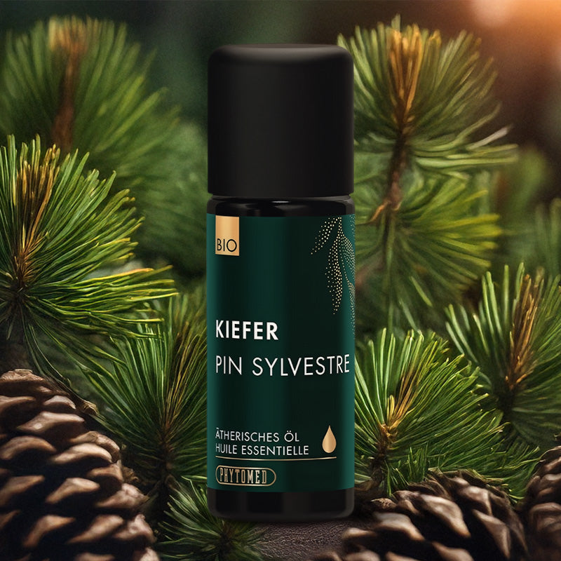 Huile essentielle Pin Sylvestre Bio