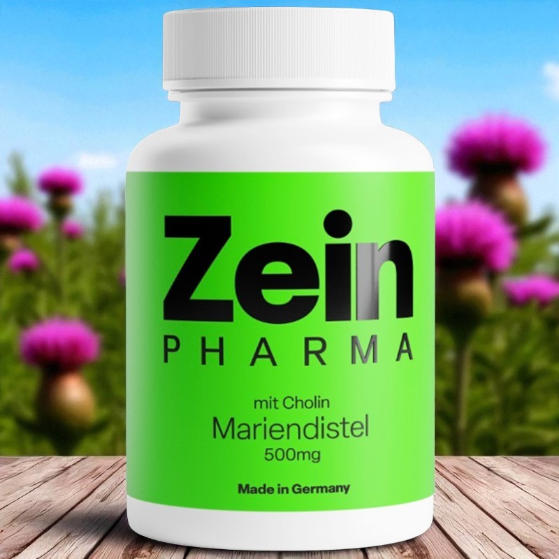 Mariendistel & Cholin