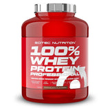 100% Whey Protein Professionnal