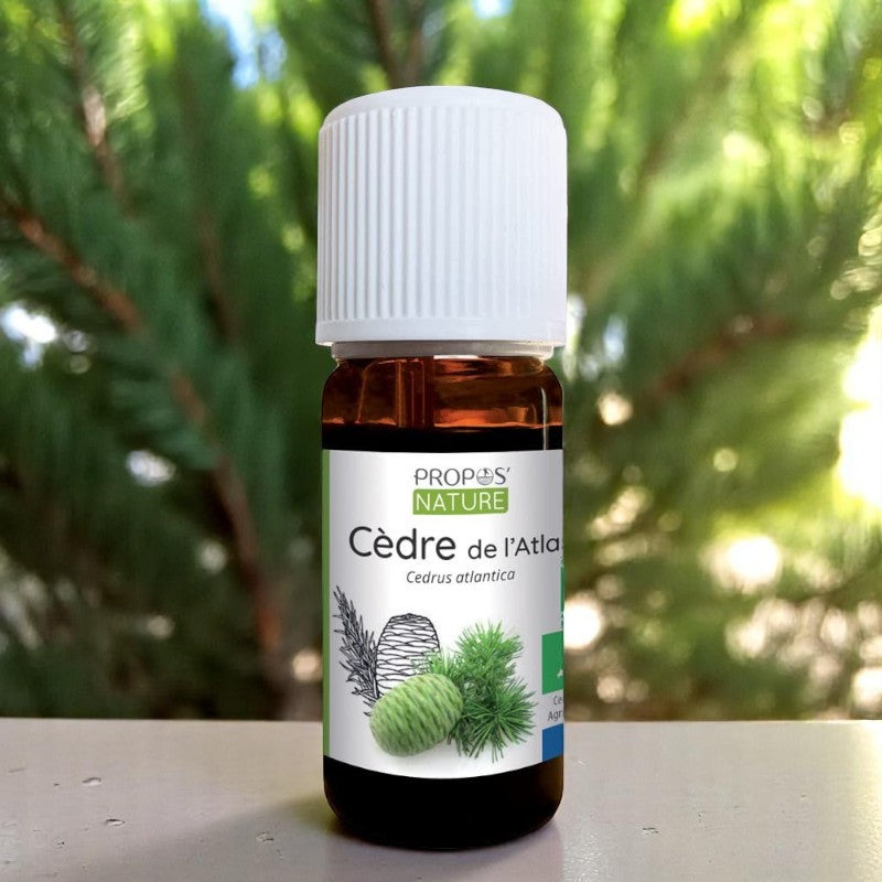 Ätherisches Öl Atlaszeder bio 